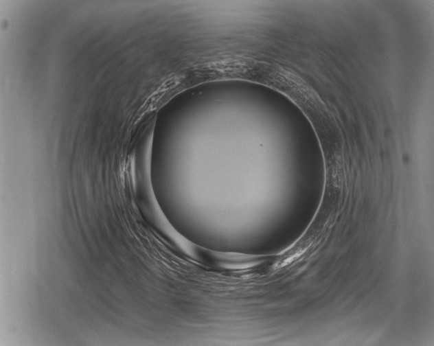 X0000079311298200611171045