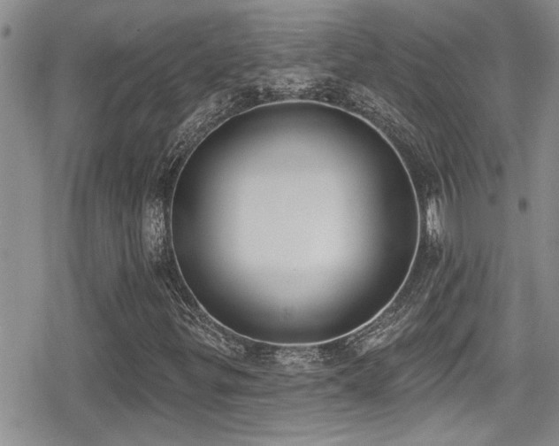 X0000079311299200611171045