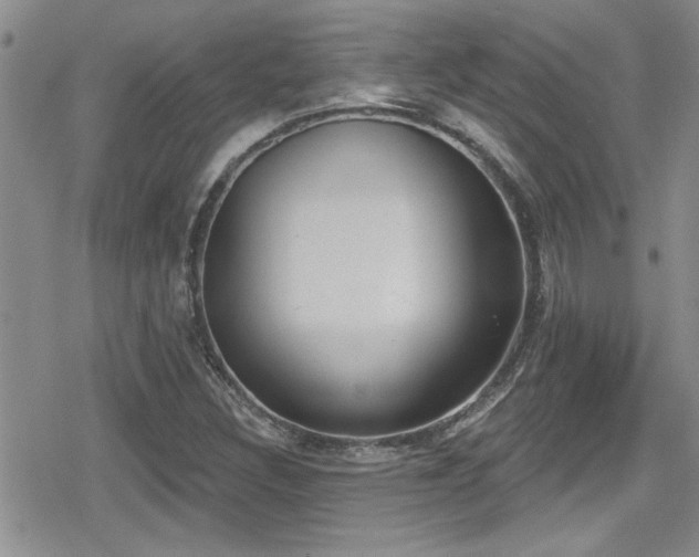 X0000079311308200611171045
