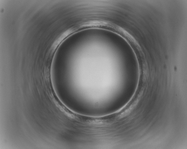 X0000079311329200611171046