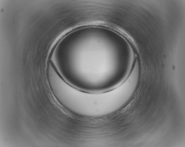 X0000079311332200611171046