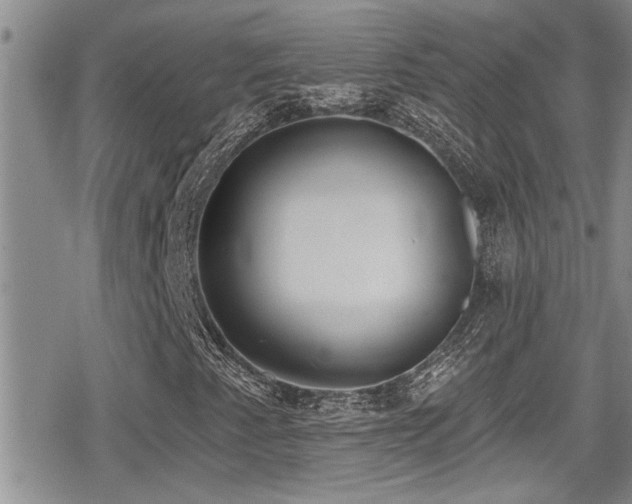 X0000079311345200611171045