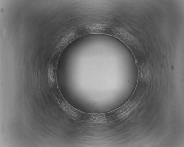 X0000079311346200611171045