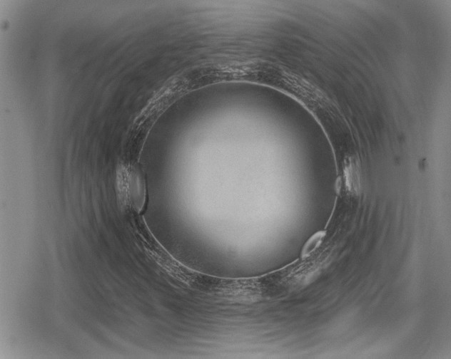 X0000079311347200611171045