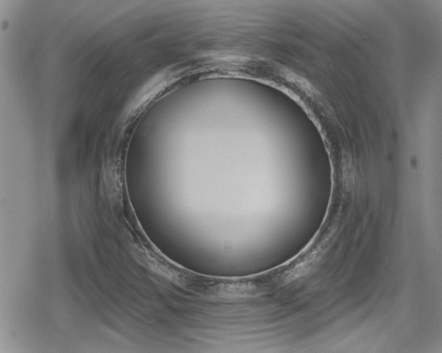 X0000079311354200611171045