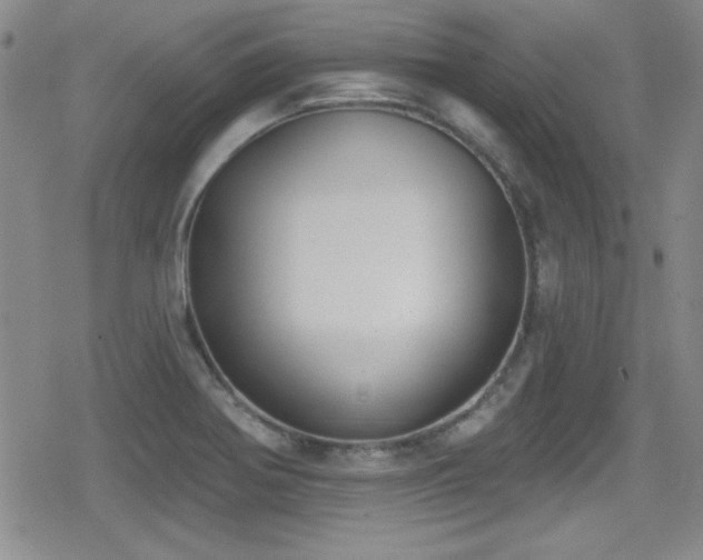 X0000079311370200611171045