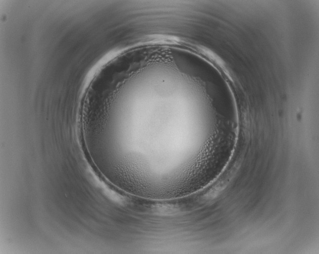 X0000079311379200611171045