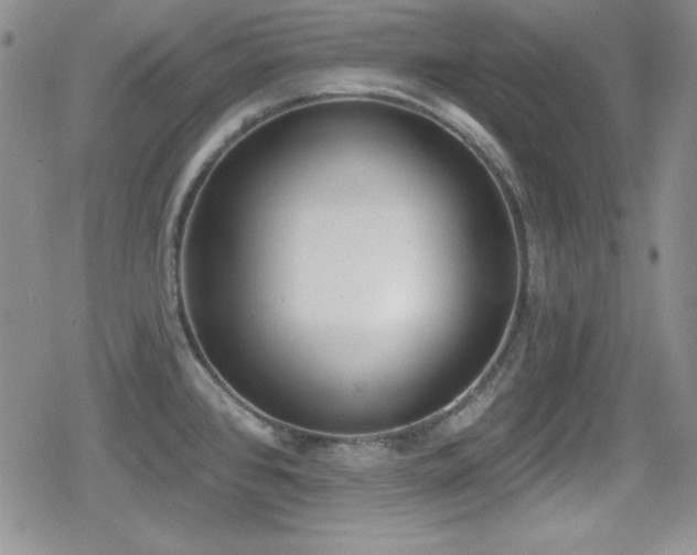 X0000079311384200611171045