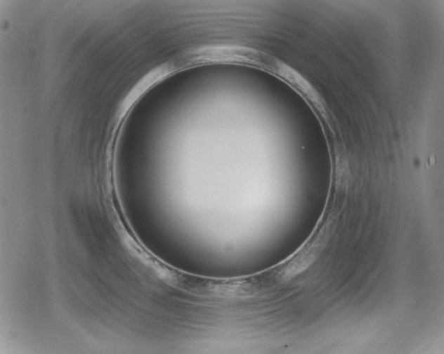 X0000079311386200611171045