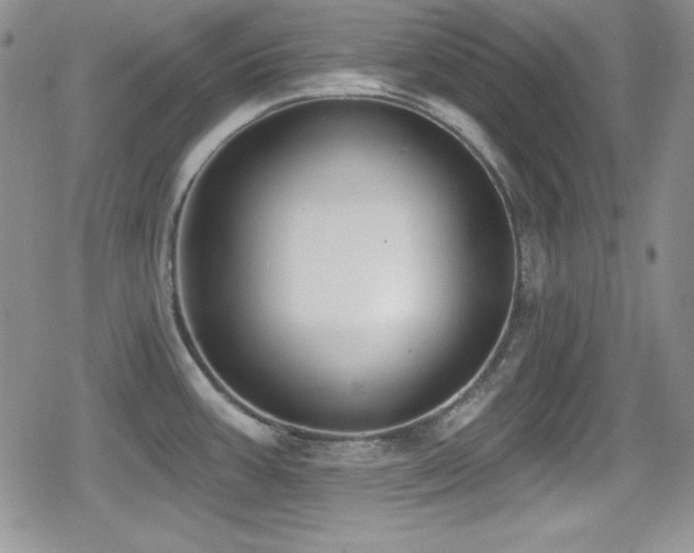 X0000079311387200611171045