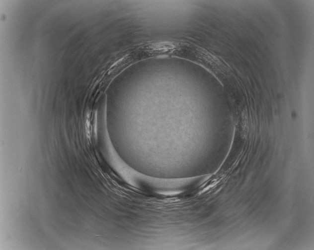 X0000079311394200611171044