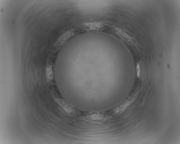 X0000079311395200611171044