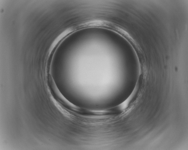 X0000079311426200611171044