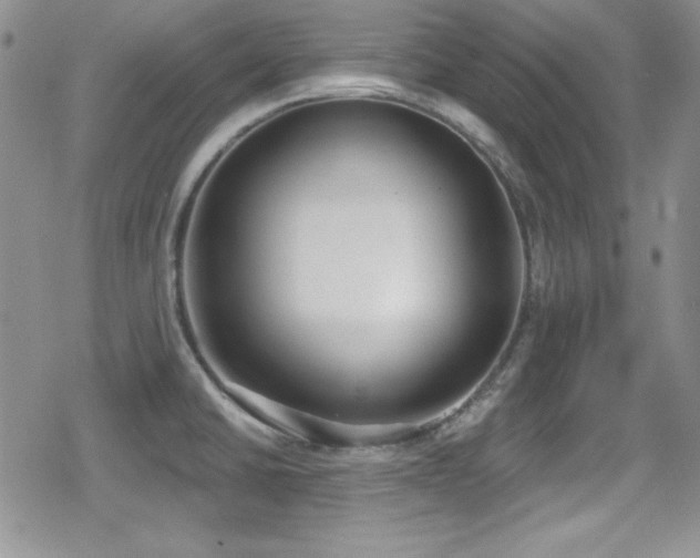 X0000079311430200611171044