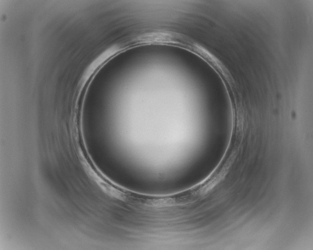 X0000079311434200611171044