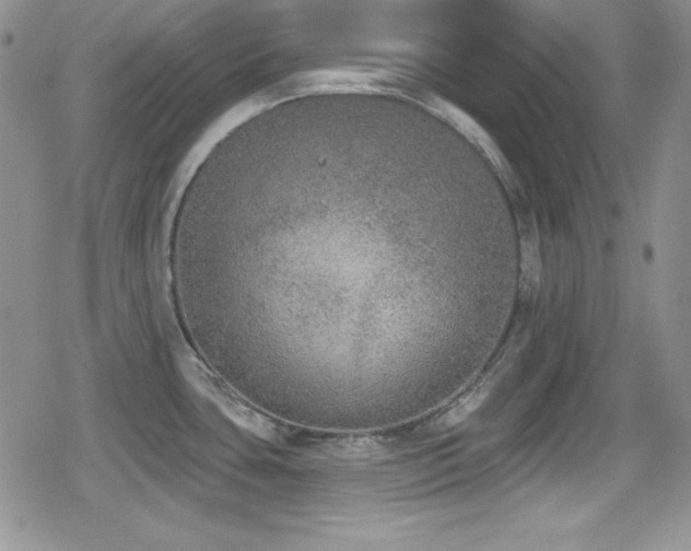 X0000079311435200611171044