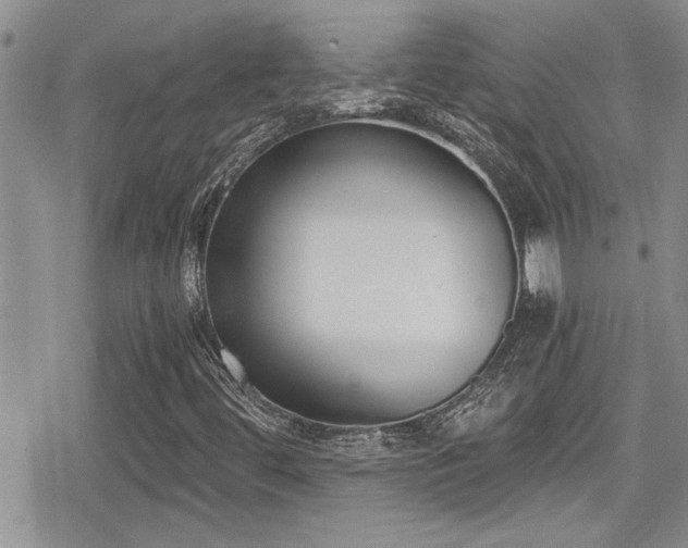 X0000079311444200611171044