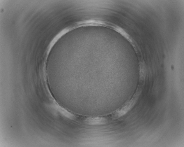 X0000079311474200611171043