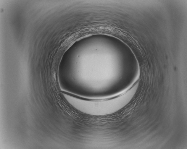 X0000079311489200611171042