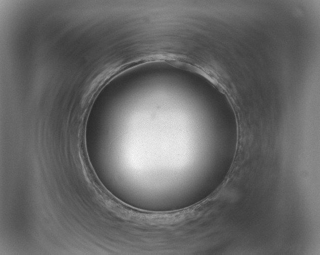X0000079310001200611251751