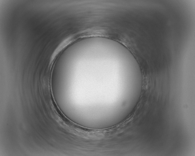 X0000079310004200611251751