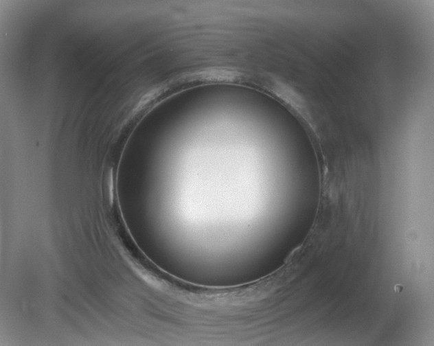 X0000079310013200611251750