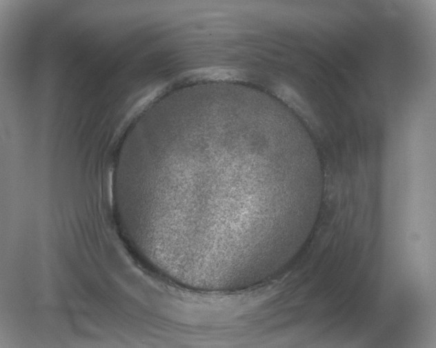 X0000079310014200611251750