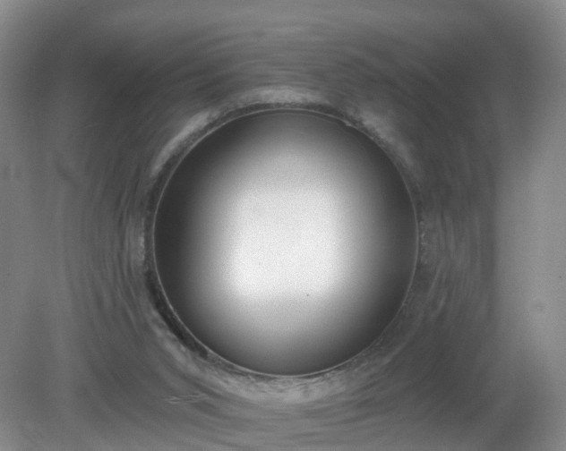 X0000079310015200611251750