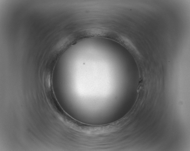 X0000079310021200611251750