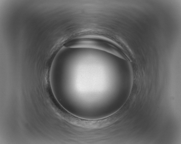 X0000079310023200611251750
