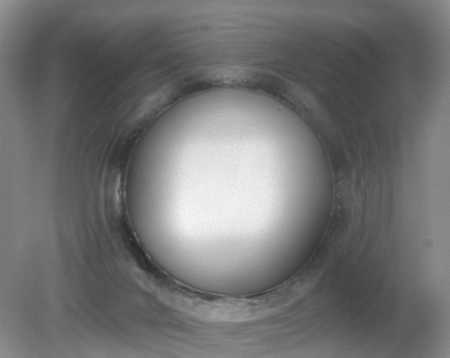 X0000079310024200611251750
