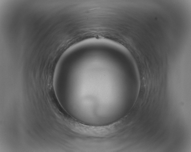 X0000079310031200611251750