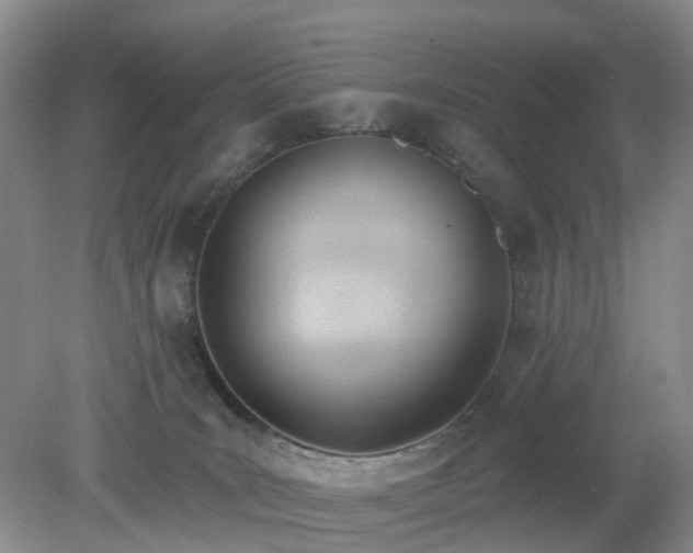 X0000079310035200611251750