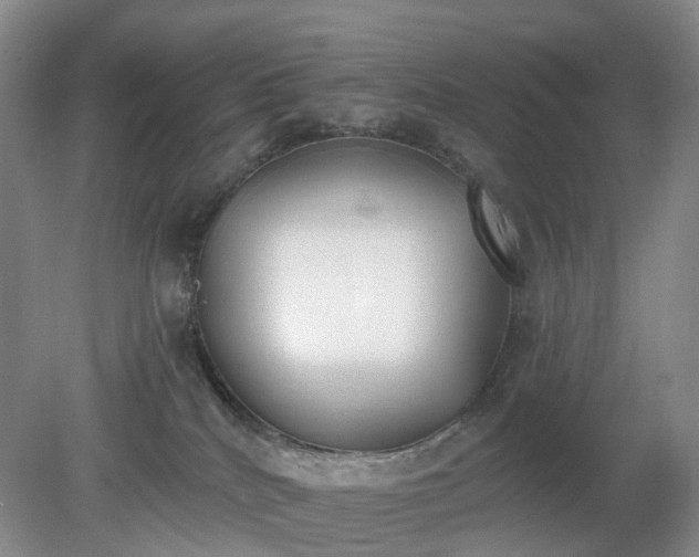 X0000079310040200611251750