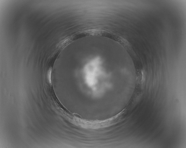 X0000079310047200611251750