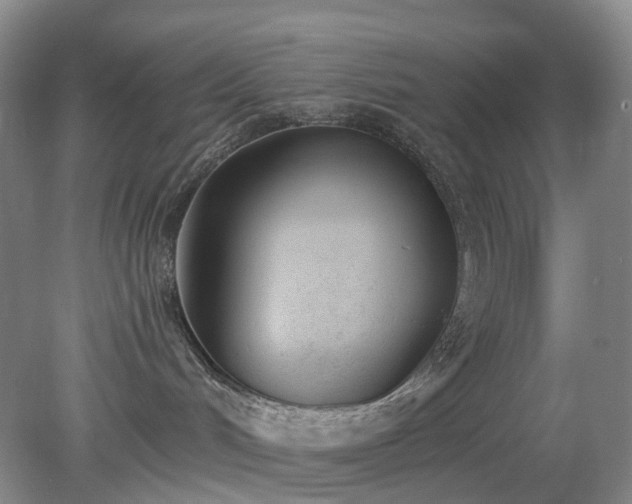 X0000079310048200611251750