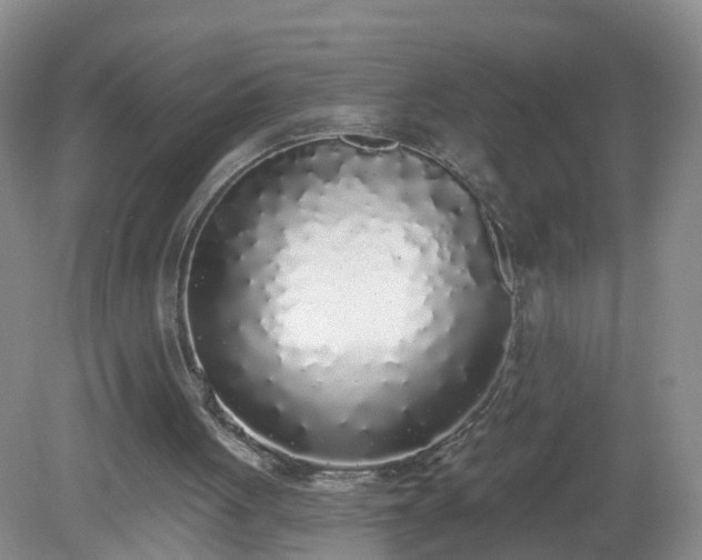 X0000079310051200611251749