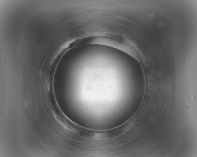X0000079310060200611251749