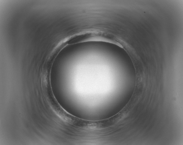 X0000079310064200611251749