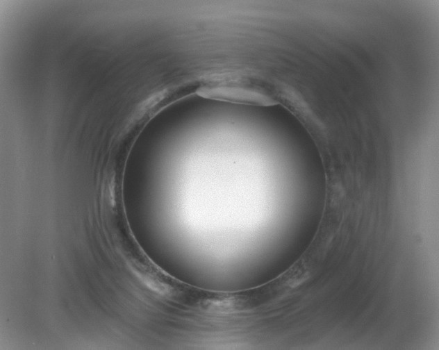 X0000079310068200611251749