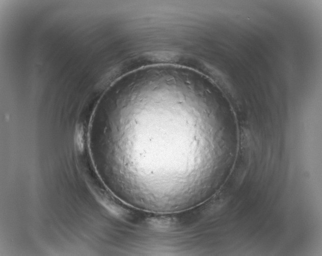 X0000079310069200611251749