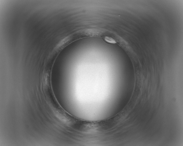 X0000079310071200611251749