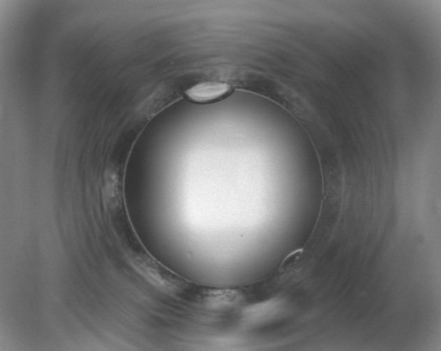 X0000079310087200611251750