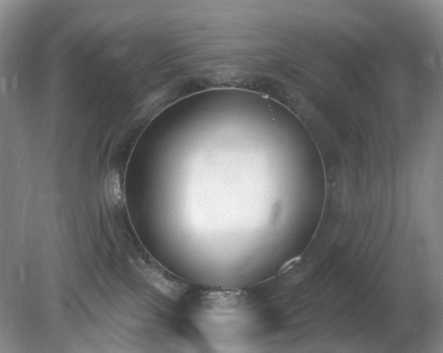 X0000079310089200611251750