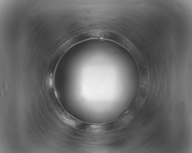 X0000079310095200611251750