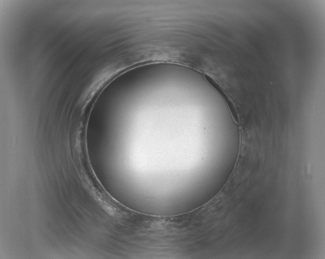X0000079310098200611251749