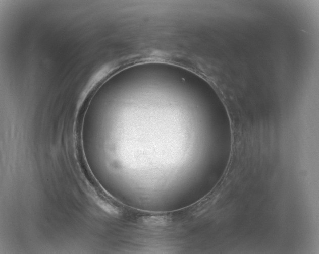 X0000079310102200611251749