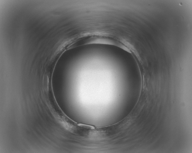 X0000079310109200611251749