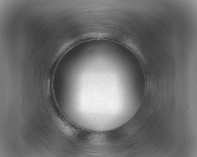 X0000079310110200611251749