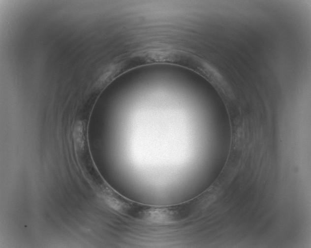 X0000079310121200611251749